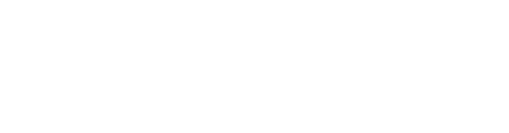 NABIP Logos Logo 1 White